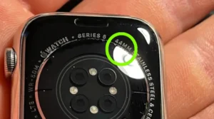 apple watch back side oinee size help.webp
